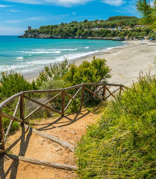 Spiaggia con mare turchese, sentiero e vegetazione mediterranea, vista torre in lontananza.