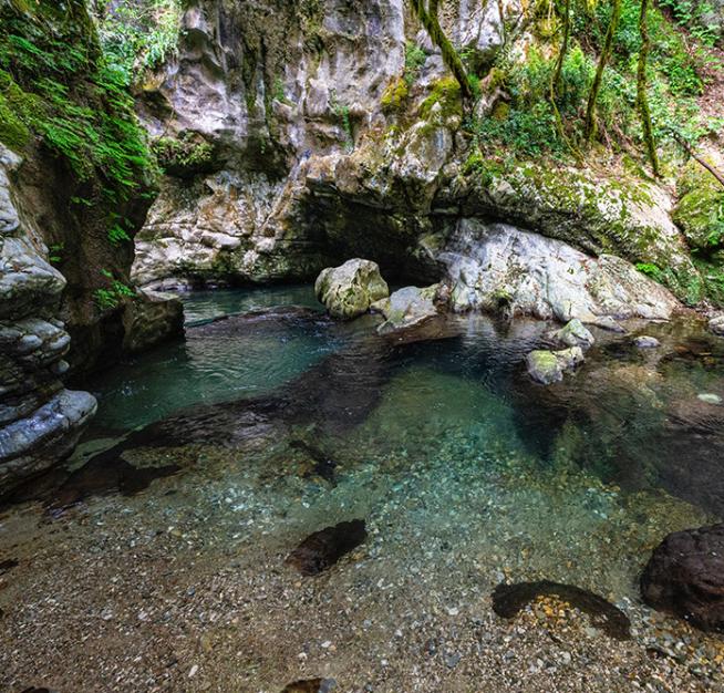Ruscello limpido tra rocce e vegetazione lussureggiante in un ambiente naturale.