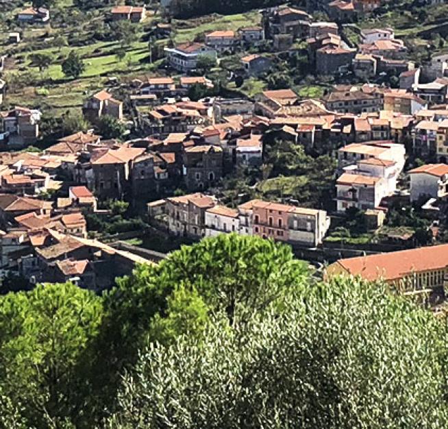 Panoramic view of a village with red roofs and greenery.
